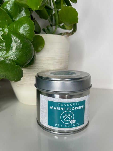 Tranquil Marine Flowers Tin