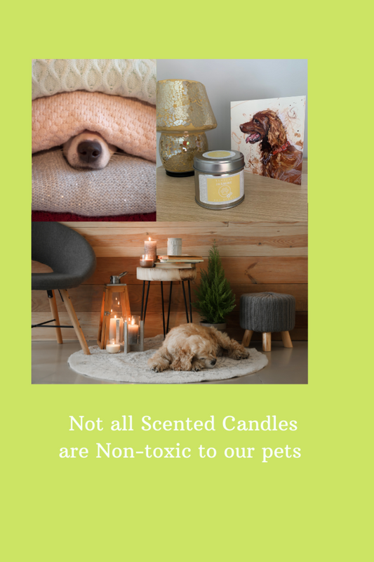Did you know… Some Scented Candles are toxic to dogs?