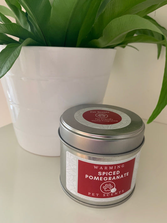 Warming Spiced Pomegranate Tin