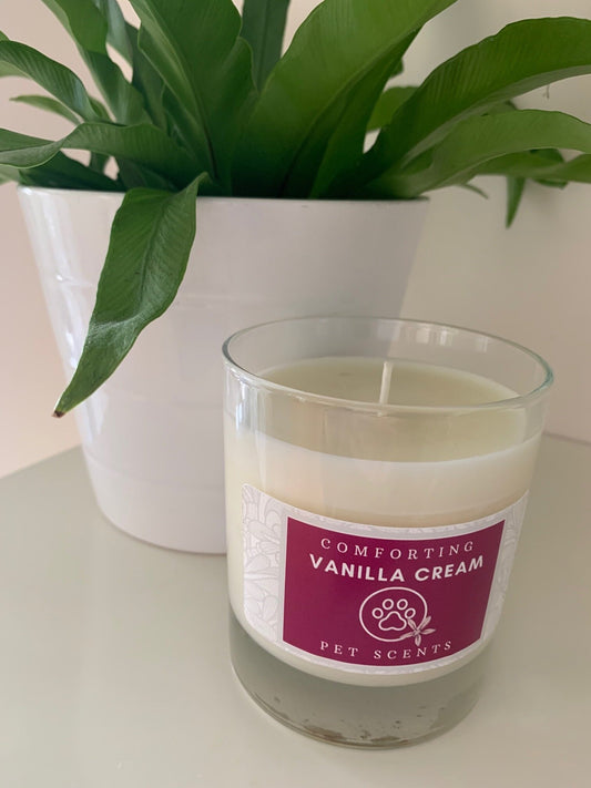 Comforting Vanilla Cream